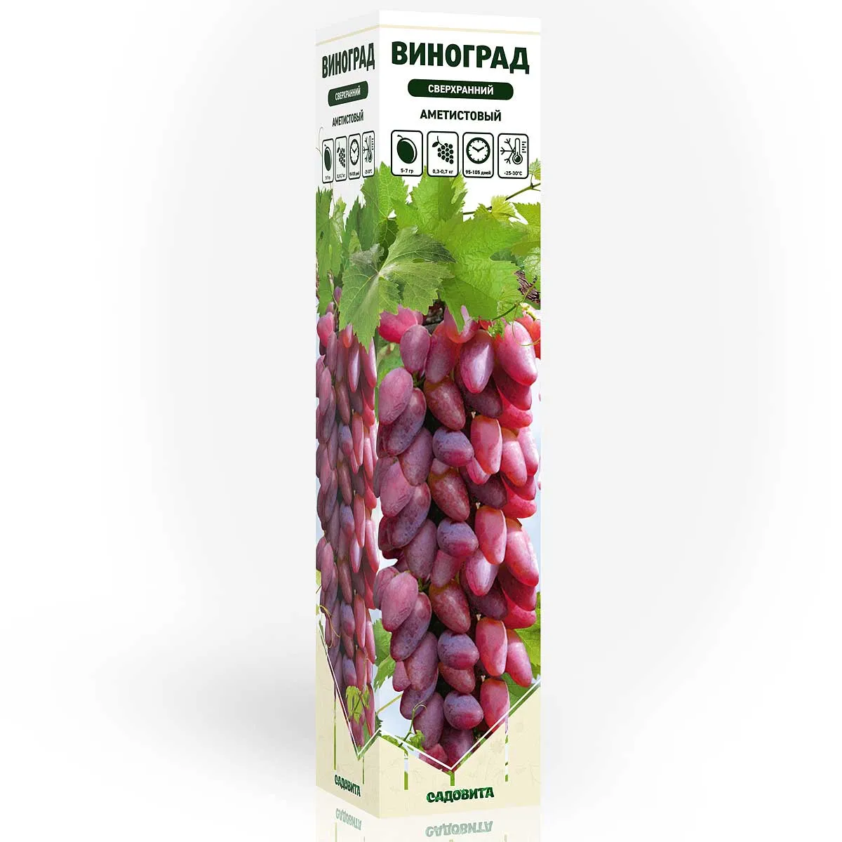 536dl8zl8rfszyklyg9bmx8fdjju6rgv