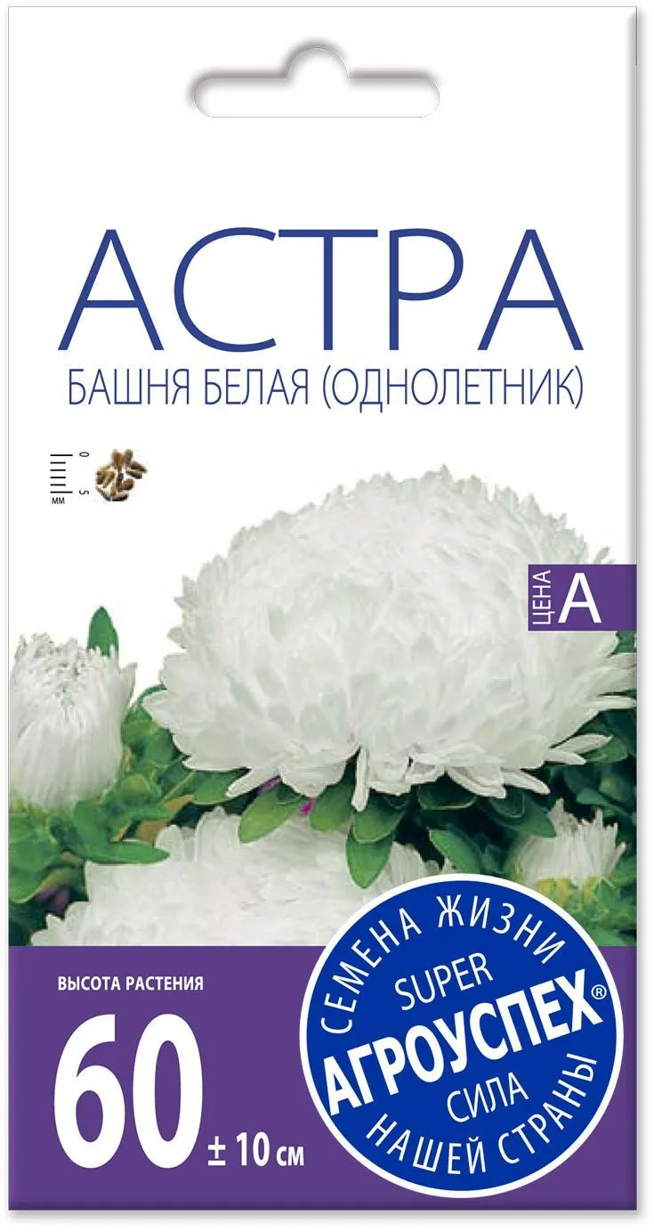 н астра белая башня