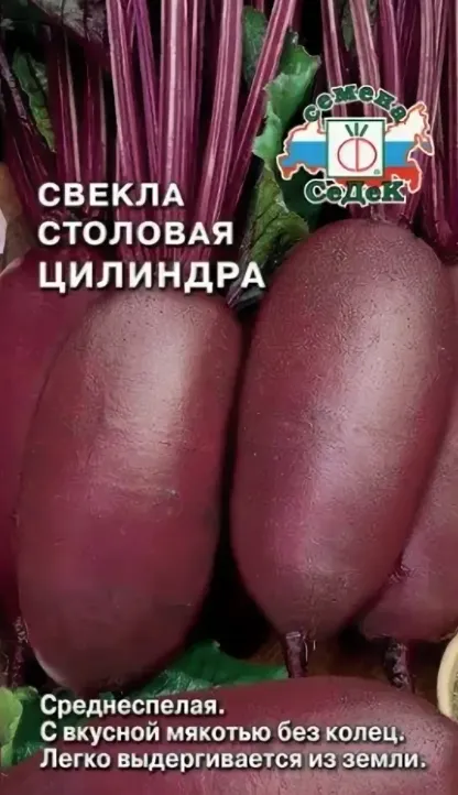 1аф Седек свекла цилиндра