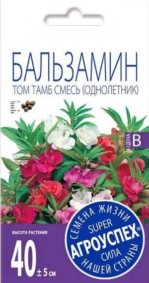 р бальзамин том