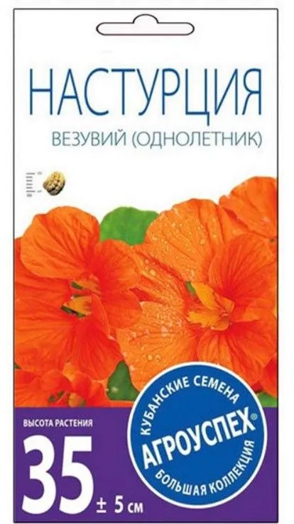 з настурция везувий
