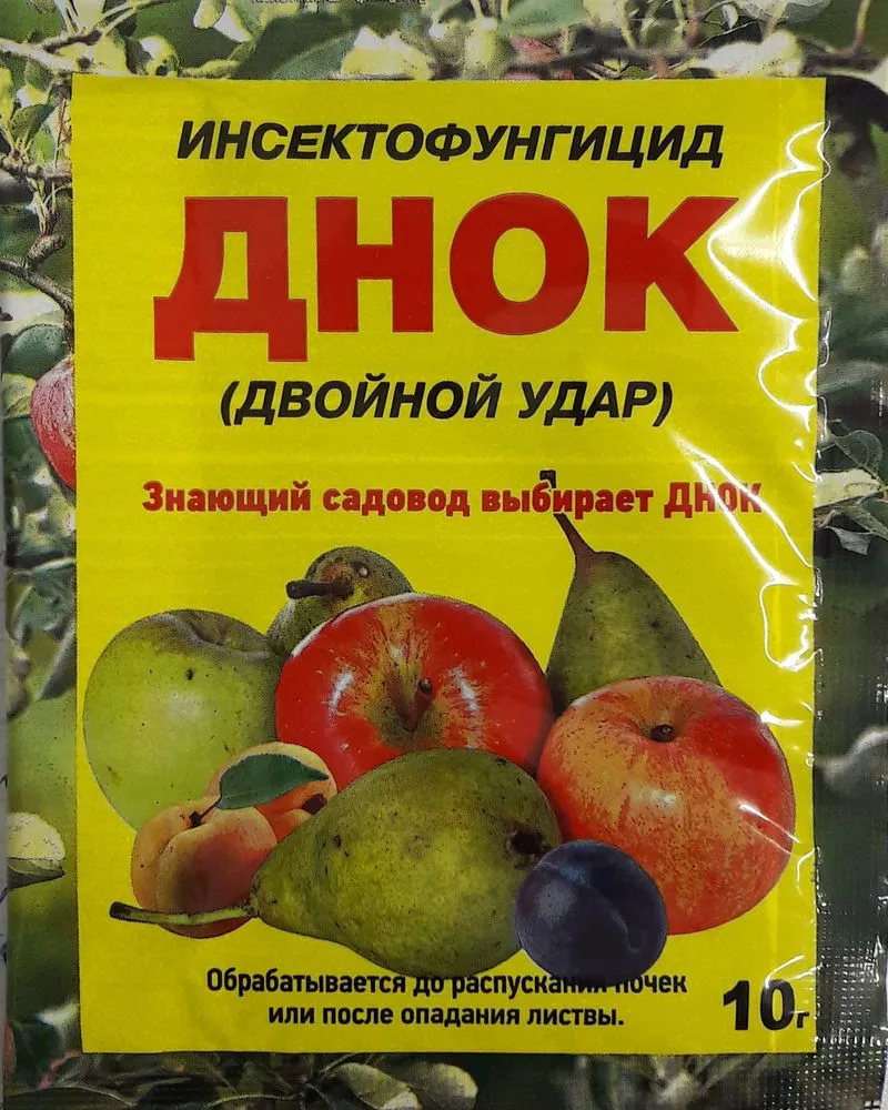 днок