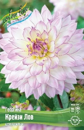 utjakgfl5qvmvq8ugkt8fjolcoliwurj