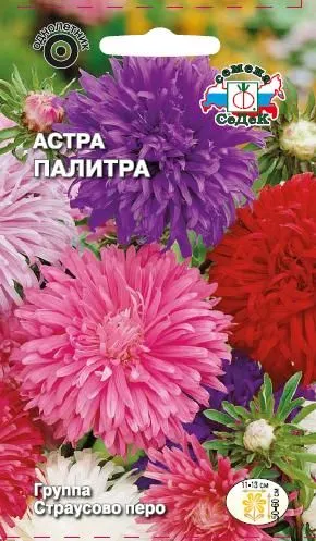 седек астра палитра