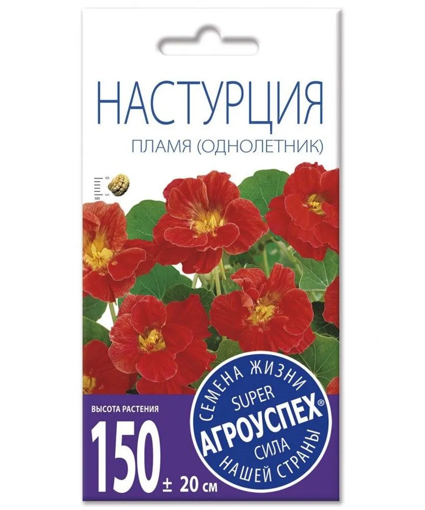 ж настурция пламя