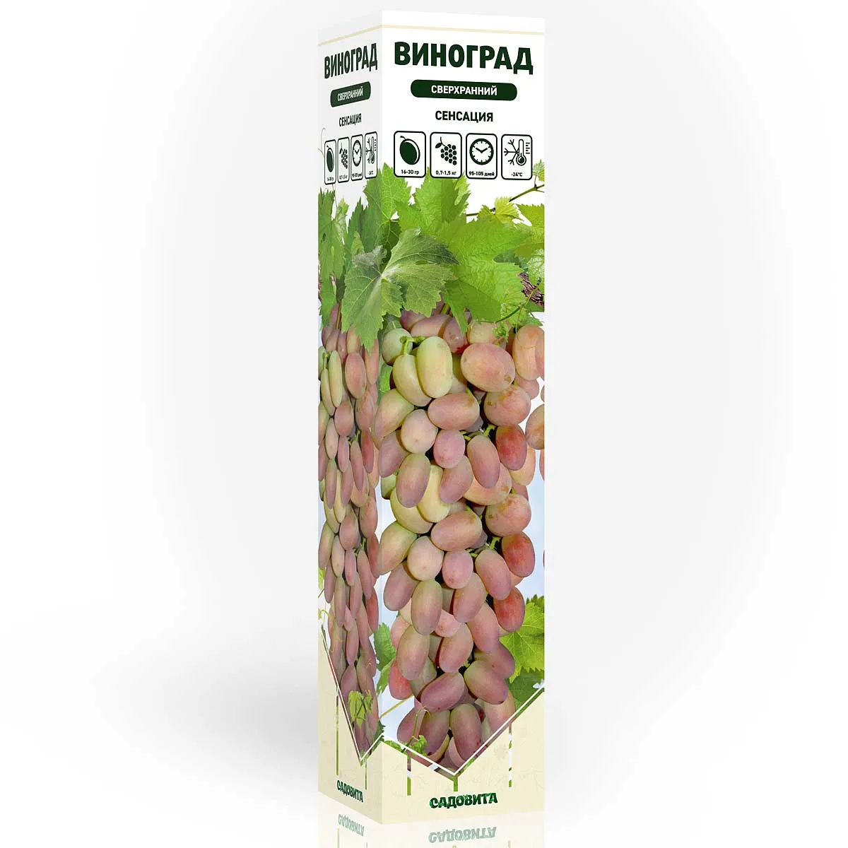 16ivkzn4vmc3owvqinn98a1orrq6wekx