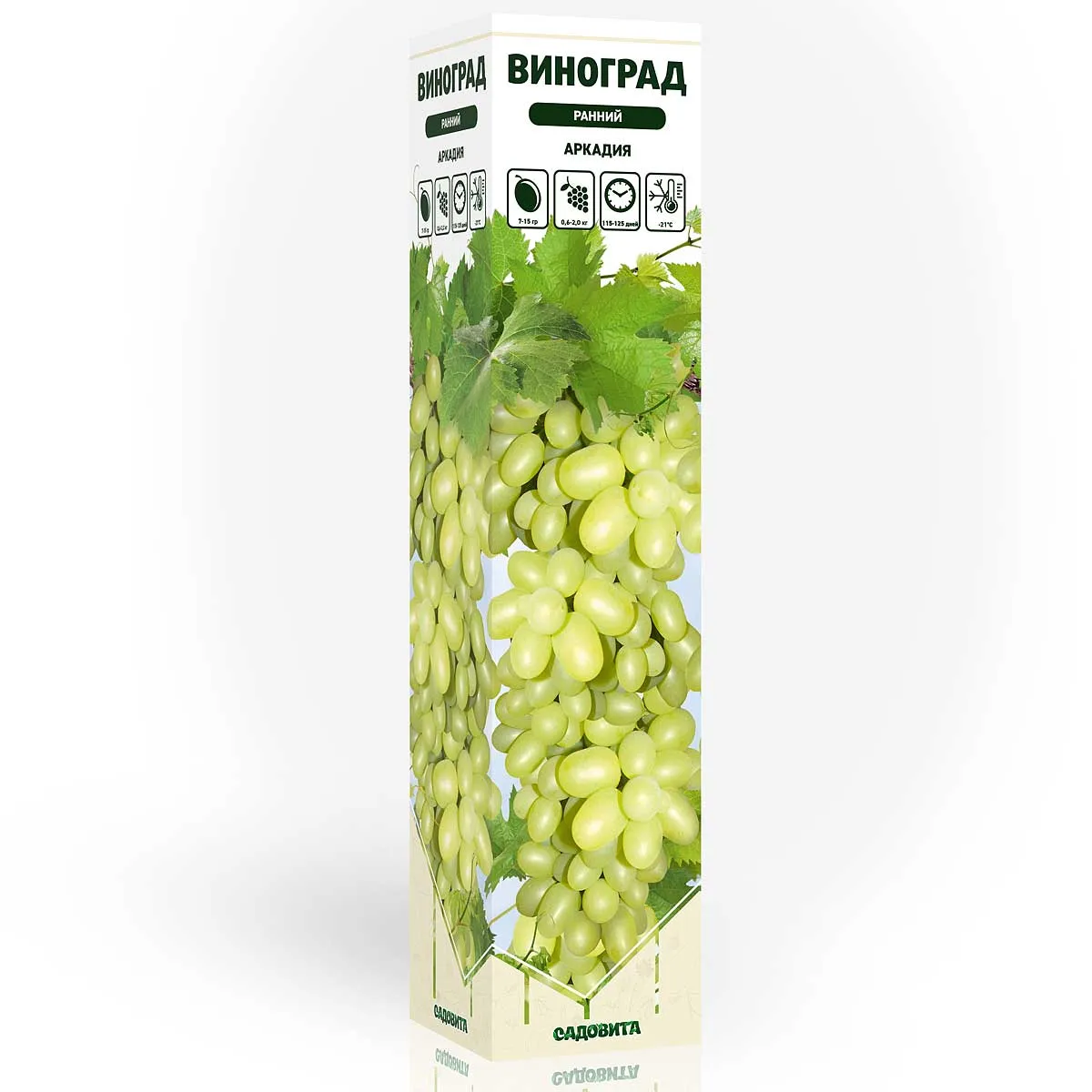 zmppbrnt96muhk9y2rygskn90nu9wodn