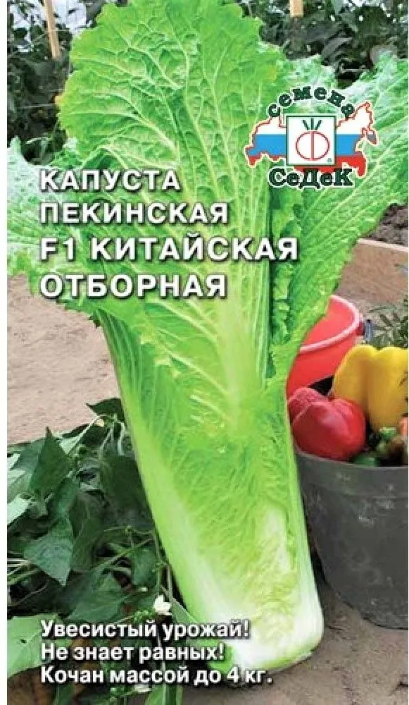 Седек Капуста Китайская отборная F1