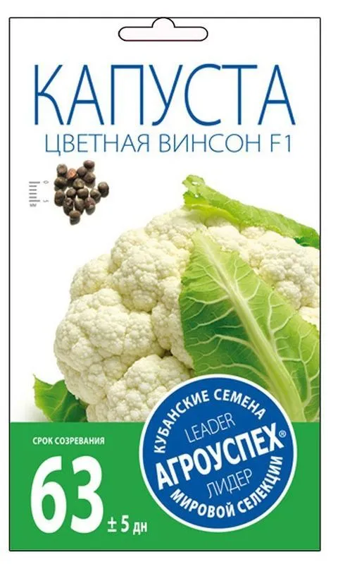 1аад капуста винсон