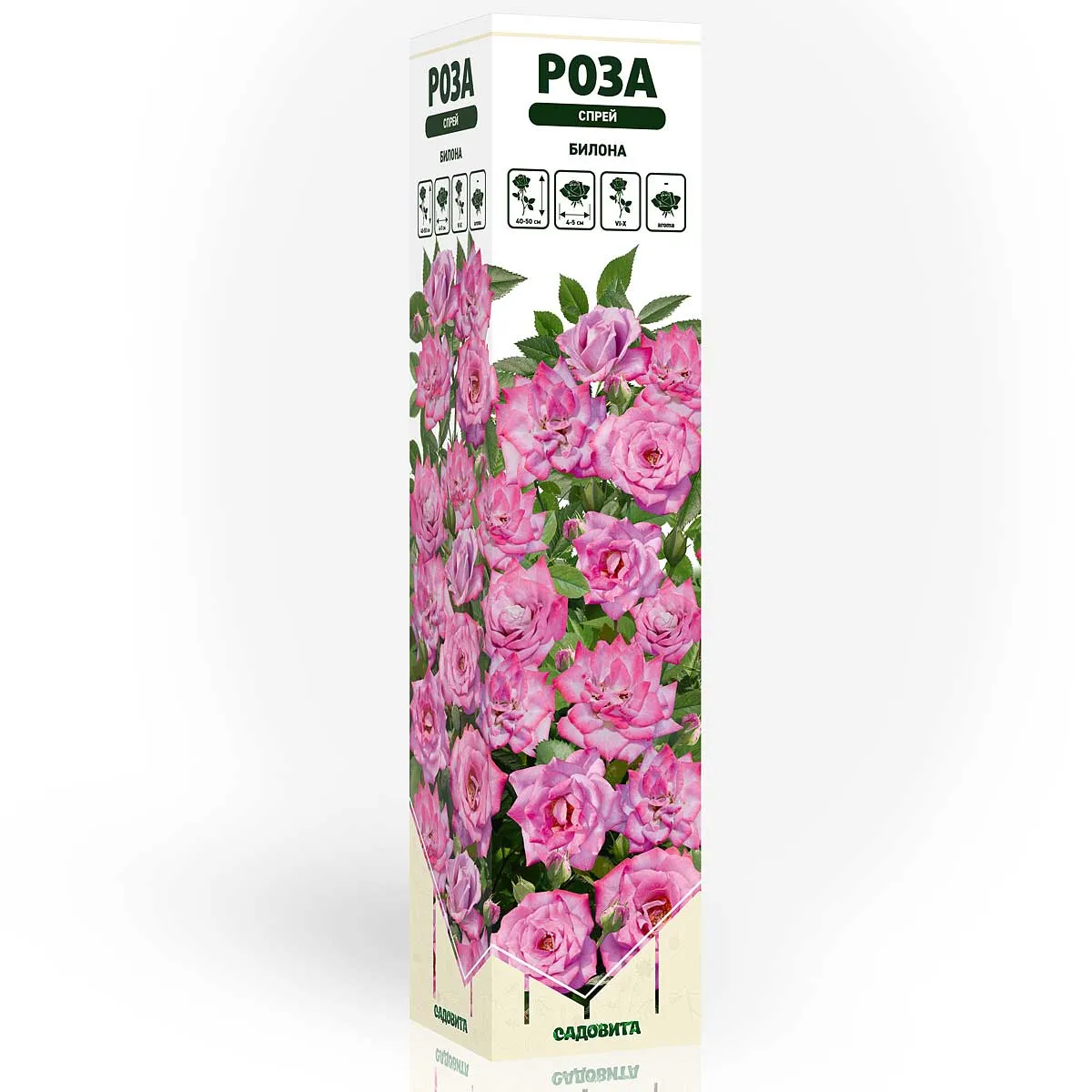 th901ge0064ynwxvpckypgo60kdm1pe9