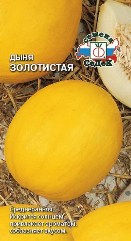 2024-02-14_15-03-55