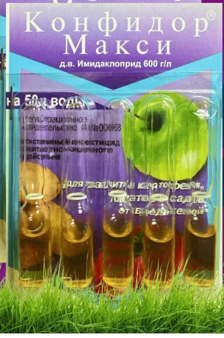photo1715058894