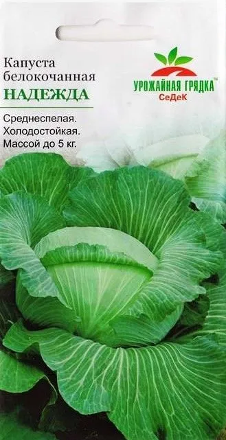 УГ капуста Надежда