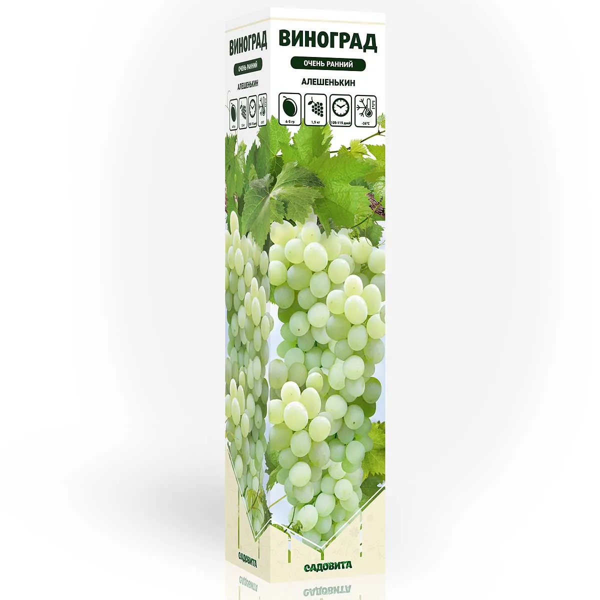 wj5zhg6vekgip4za65vuum9lnrahew3t