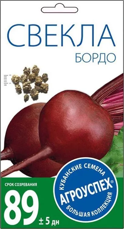 Л свекла Бордо 237 среднеран