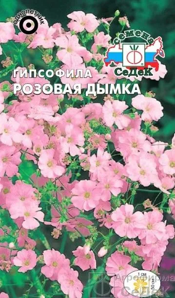 седек гипсофила Р