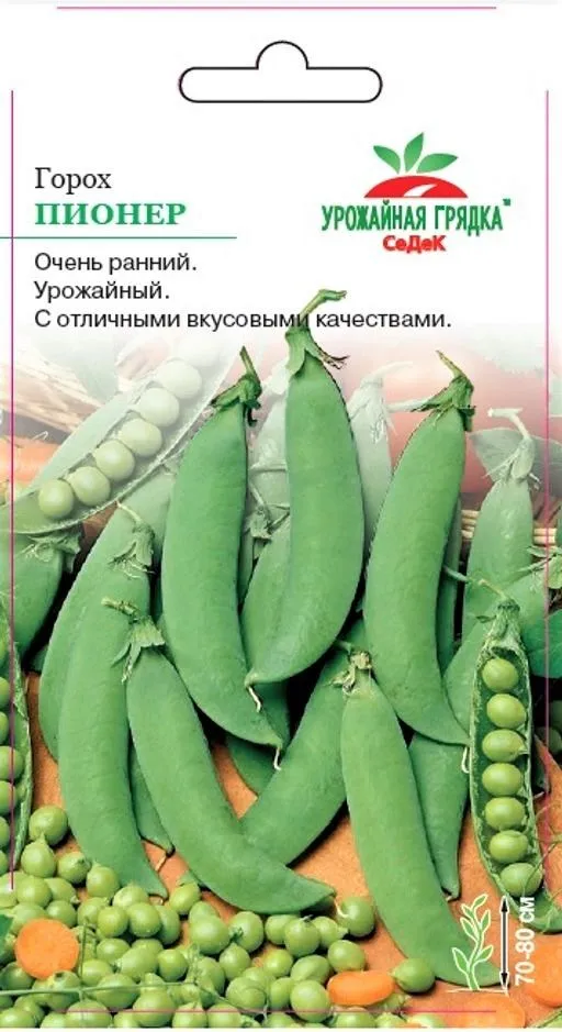 УГ горох Пионер (Евро, 8)