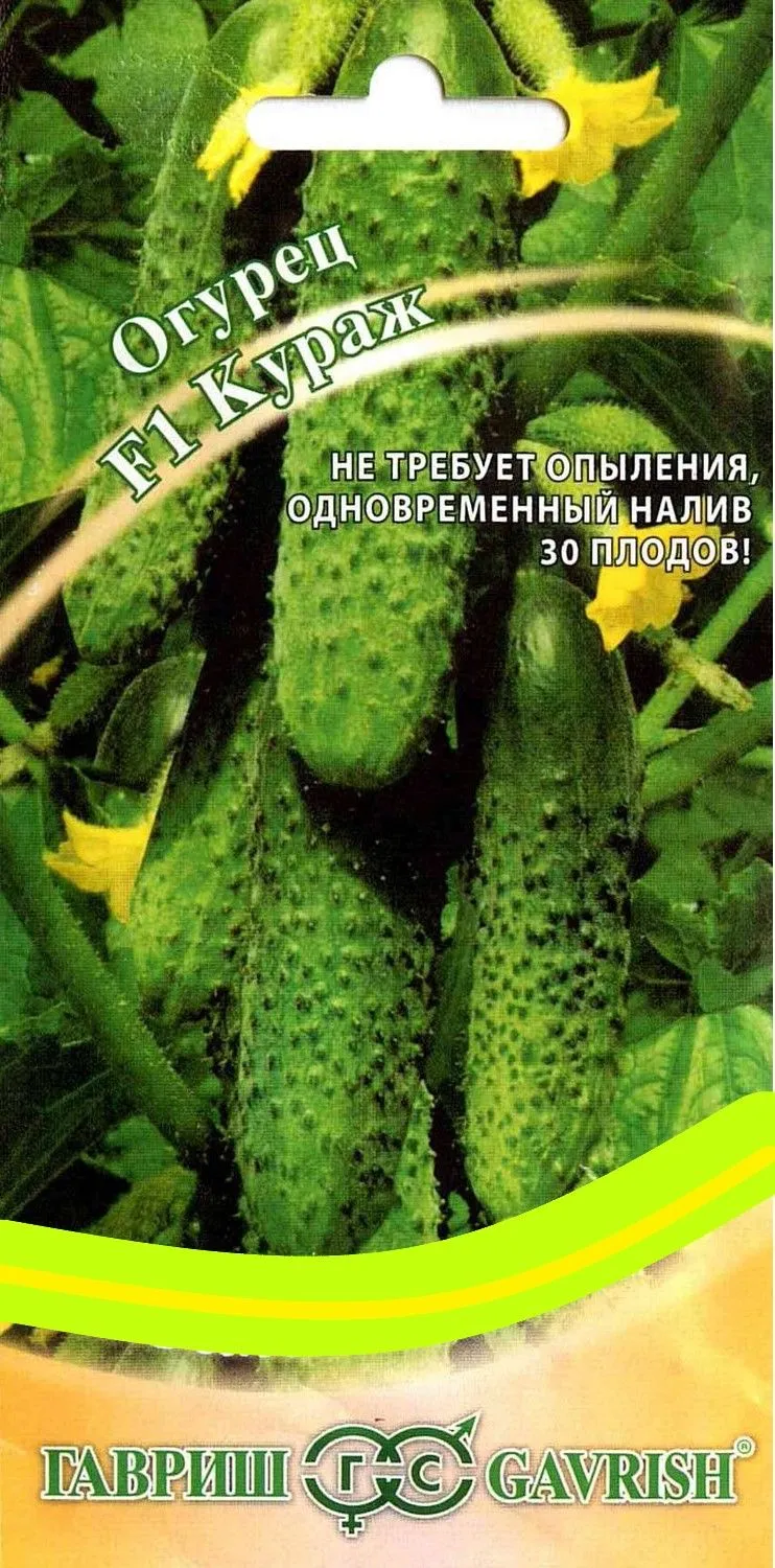 Огурец Кураж Гавриш Ц