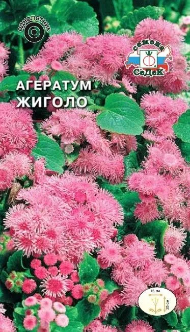 Седек Агератум Жиголо (мексиканский, розовый ) (Евро, 0,1)