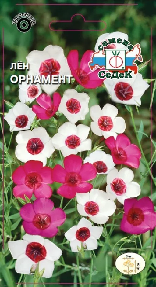 Седек Лён Орнамент