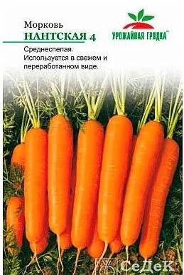 УГ морковь Нантская 4 (Евро, 2)