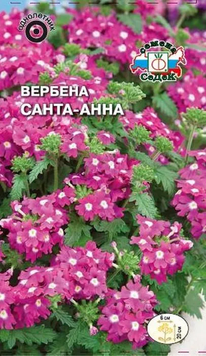 Седек Вербена Санта-Анна (розовая)