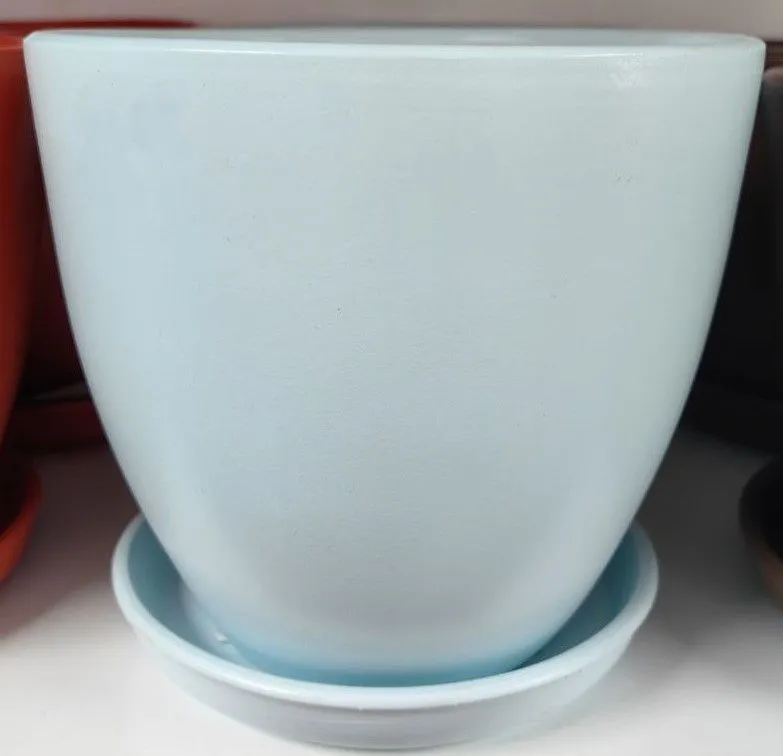 photo1701259361 (1)