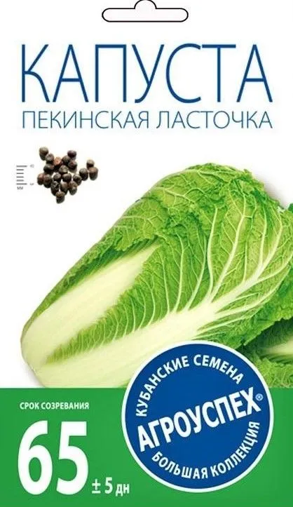 щ пекинская ласточка