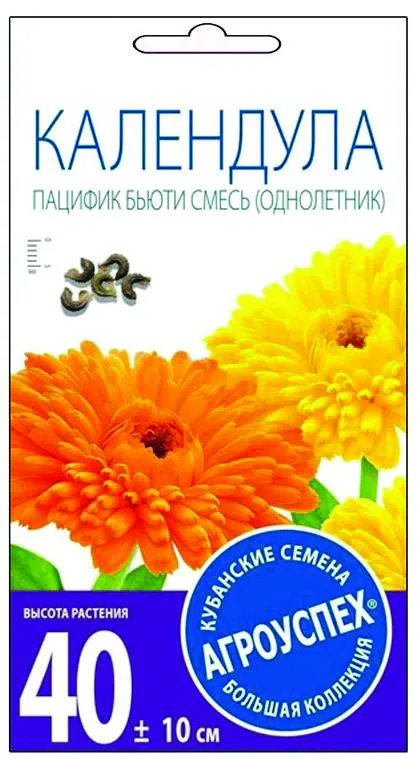 к пацифик
