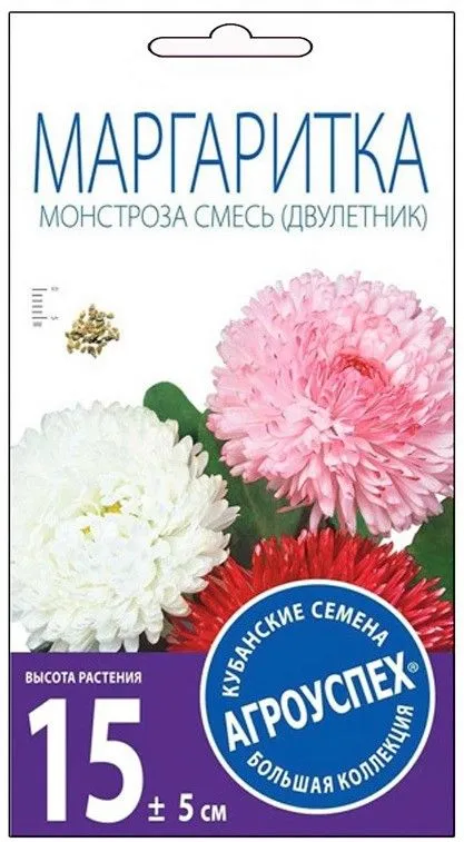 ЛЦ МАРГАРИТКА МОНСТРОЗА