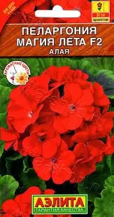 images (11)