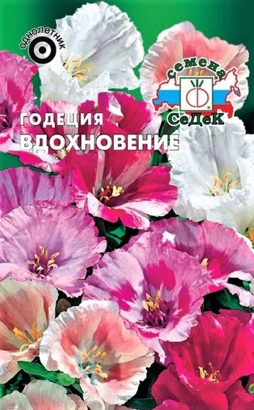 godetsiya_vdokhnovenie_krupnotsvetkovaya_smes