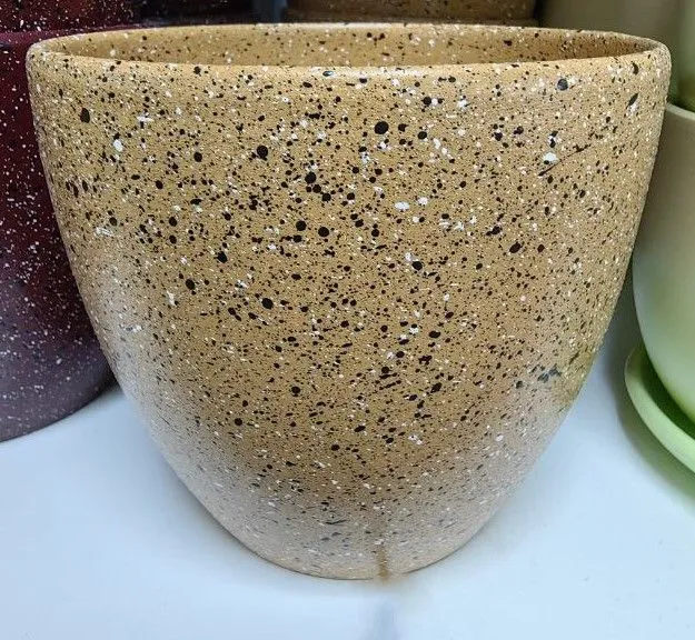 photo1701330451 (3)
