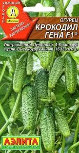 images (5)