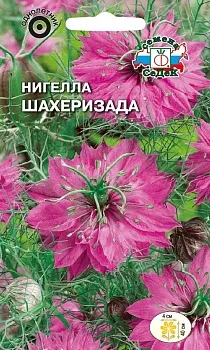 Седек Нигелла Шахеризада (дамасская, ярко-розовая) (Евро, 1)