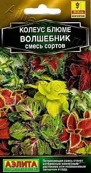 Ац/колеус Блюме смесь *5шт
