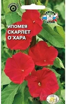 Седек Ипомея Скарлет О Хара  (вид нил, алая) (Евро, 0,5)