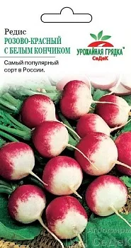 Седек редис Розово-красный с б/к (Евро, 3)