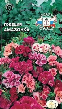 Седек Годеция Амазонка (крупноцветковая, азалиевидная смесь) (Евро, 0,15)