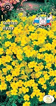 Седек Тагетес Лулу (узколистный, лимонно-желтый) (Евро, 0,1)