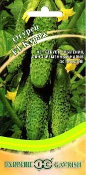 Огурец Кураж Гавриш Ц