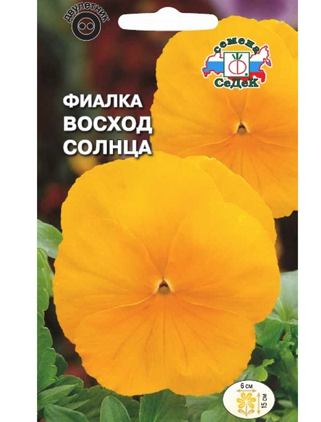 12 Седек Фиалка Восход солнца (витрокка, швейцарск гигант)(Евро, 0,05)