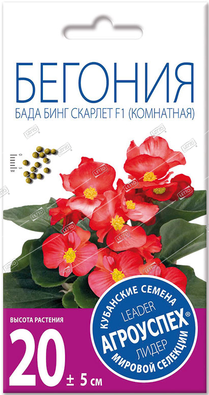 000000000000 бегония