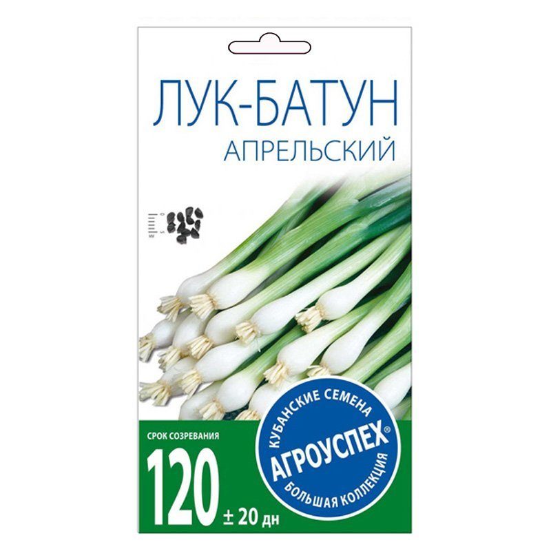 1ааая лук батун апрельский