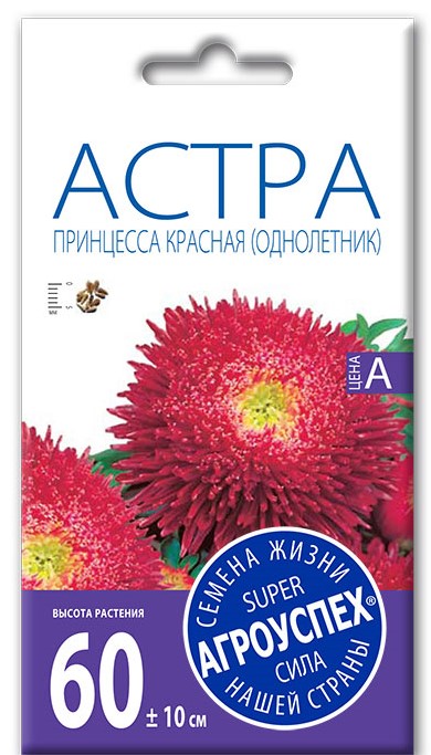 д астра красная
