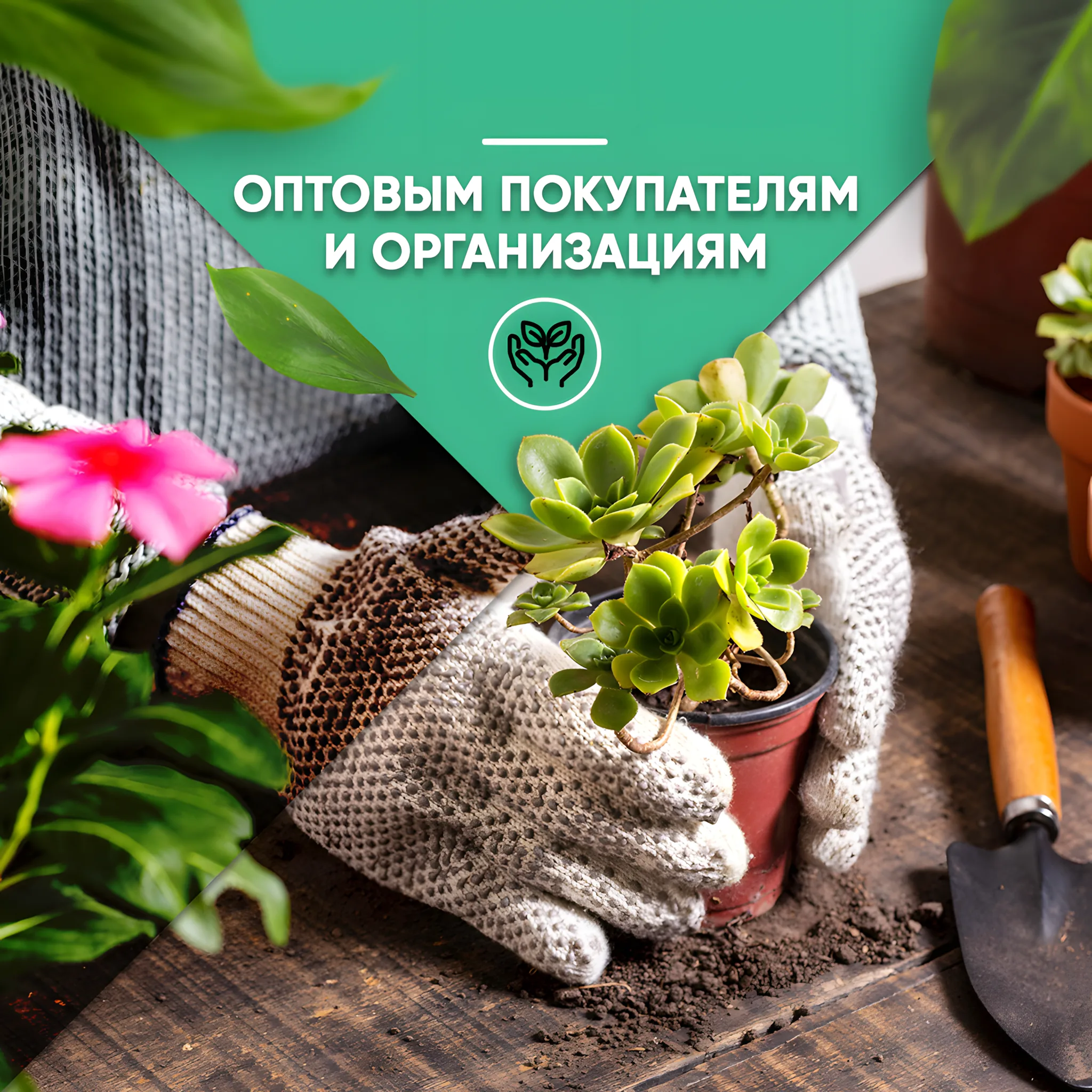 Оптовым покупателям и организациям