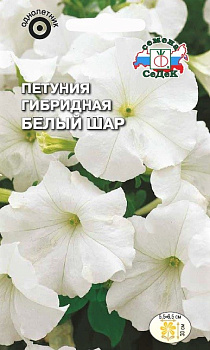 Седек Петуния Белый шар F1 (компактная, белая) (Евро, 0,1)