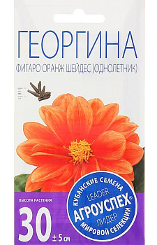 Лц/георгина Фигаро Оранж Шейдес О *7шт