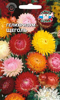 Седек Гелихризум Щеголь (смесь) (Евро, 0,2)